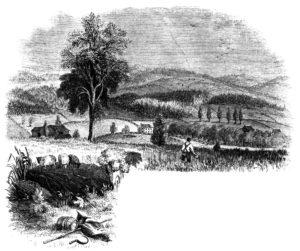 hubbardton Lossing